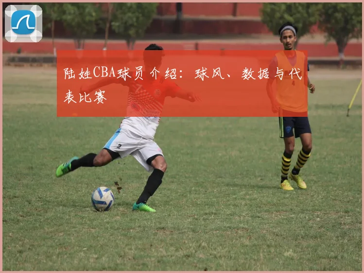 陆姓CBA球员介绍：球风、数据与代表比赛