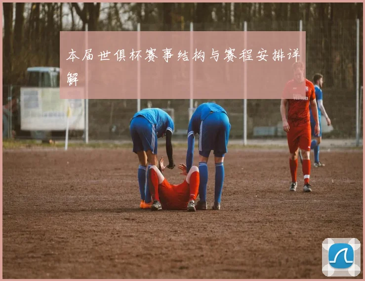 本届世俱杯赛事结构与赛程安排详解