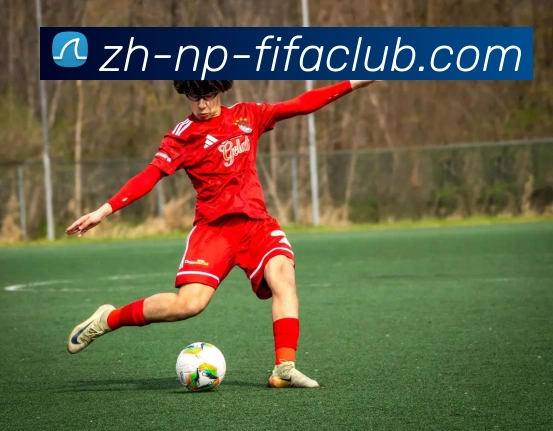 世界杯直播服务体系